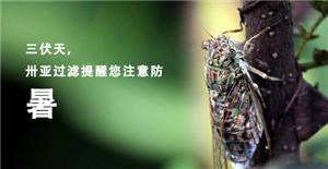 【三伏天】天氣炎熱，請不要做這些事情