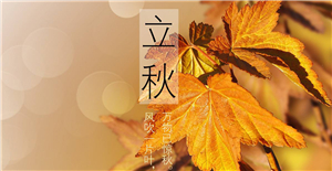 【立秋】來臨，卅亞和您共同迎接秋天的到來